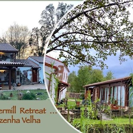 빌라 노바 드 포이아르스 The Old Watermill Retreat - O Retiro Da Azenha Velha 아파트 외부 사진