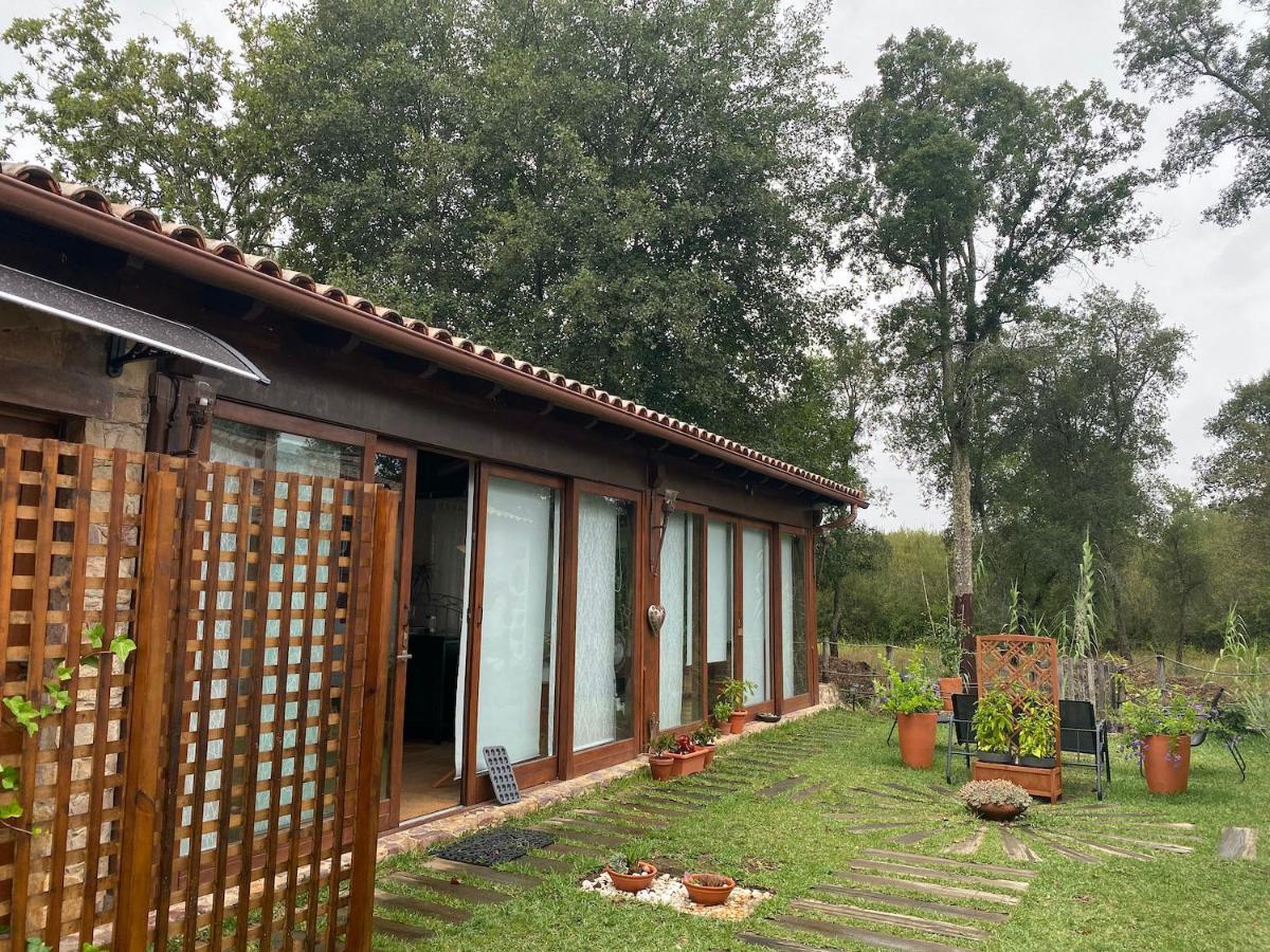 빌라 노바 드 포이아르스 The Old Watermill Retreat - O Retiro Da Azenha Velha 아파트 외부 사진