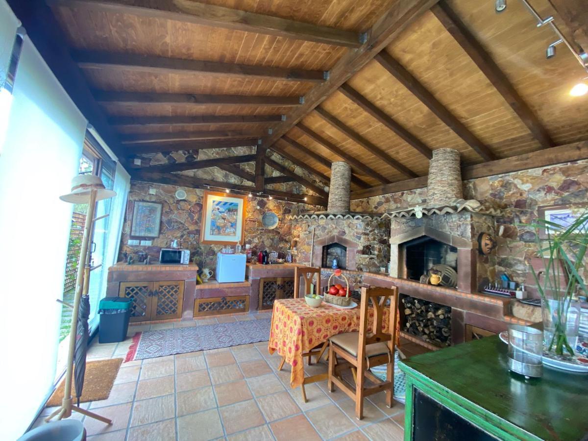 빌라 노바 드 포이아르스 The Old Watermill Retreat - O Retiro Da Azenha Velha 아파트 외부 사진