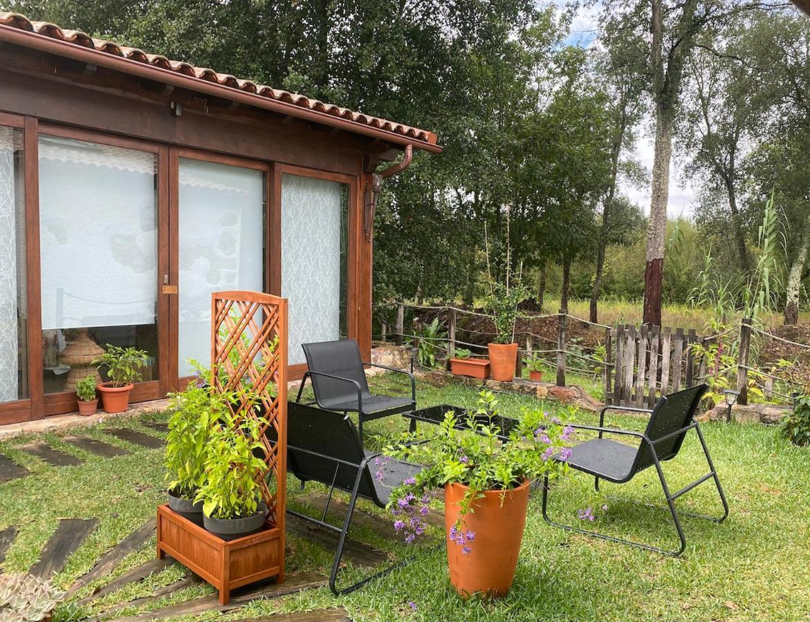 빌라 노바 드 포이아르스 The Old Watermill Retreat - O Retiro Da Azenha Velha 아파트 외부 사진