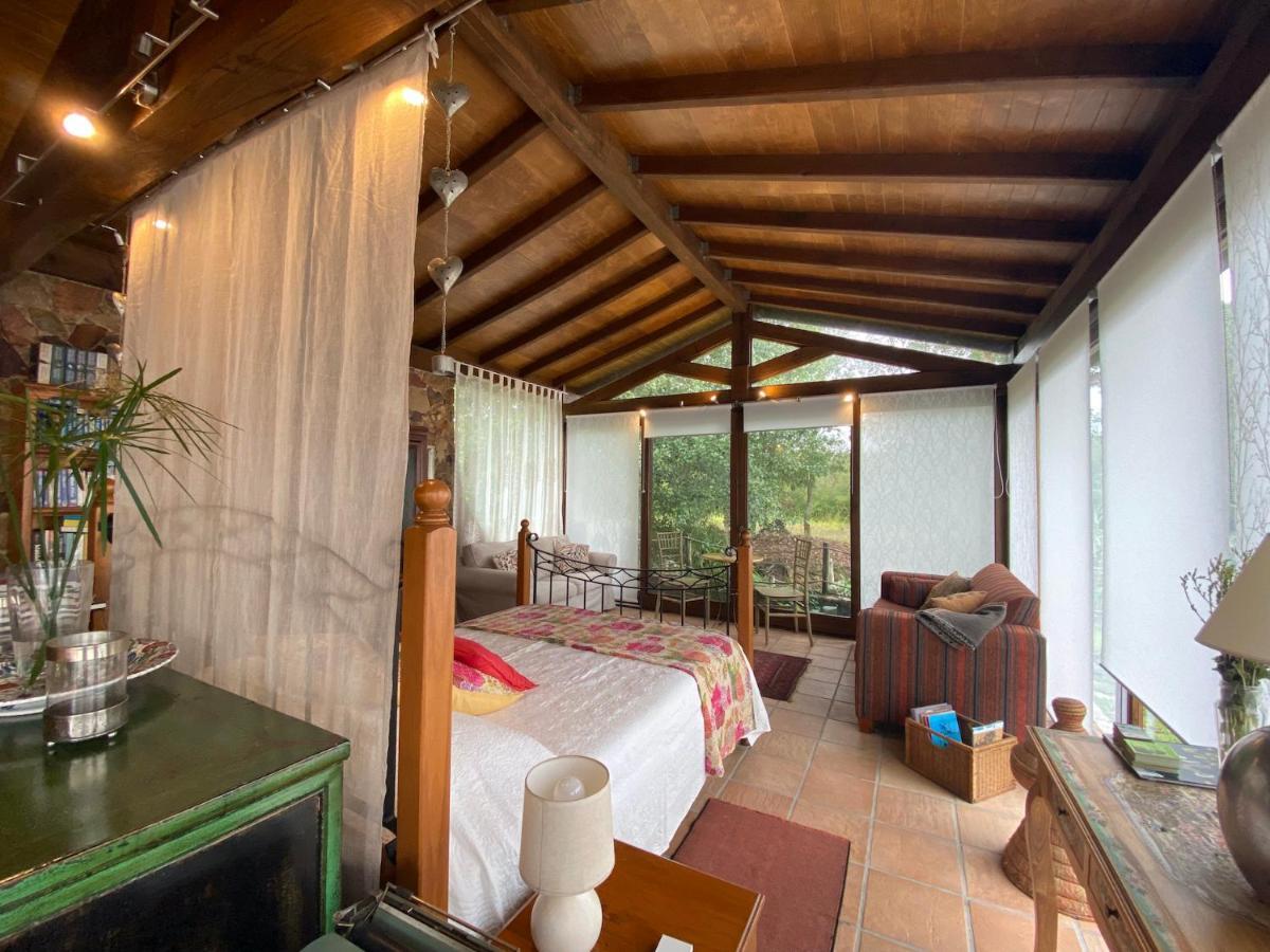 빌라 노바 드 포이아르스 The Old Watermill Retreat - O Retiro Da Azenha Velha 아파트 외부 사진
