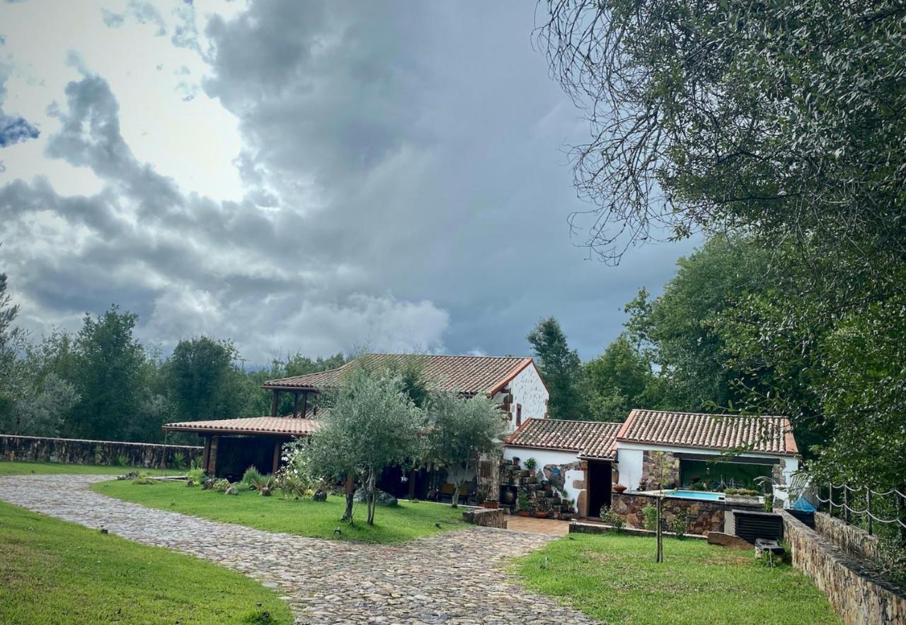 빌라 노바 드 포이아르스 The Old Watermill Retreat - O Retiro Da Azenha Velha 아파트 외부 사진