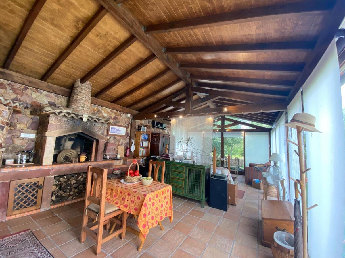 빌라 노바 드 포이아르스 The Old Watermill Retreat - O Retiro Da Azenha Velha 아파트 외부 사진