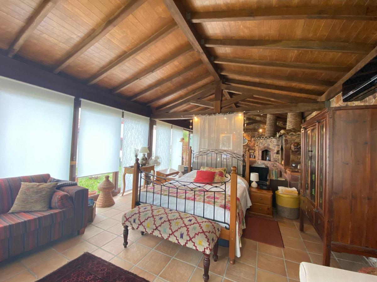 빌라 노바 드 포이아르스 The Old Watermill Retreat - O Retiro Da Azenha Velha 아파트 외부 사진