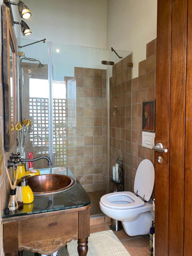 빌라 노바 드 포이아르스 The Old Watermill Retreat - O Retiro Da Azenha Velha 아파트 외부 사진