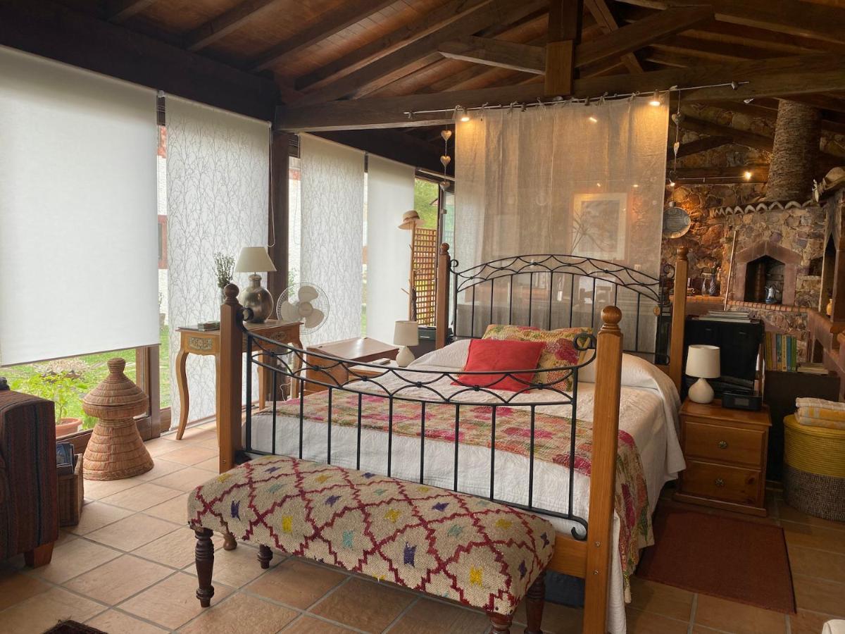 빌라 노바 드 포이아르스 The Old Watermill Retreat - O Retiro Da Azenha Velha 아파트 외부 사진