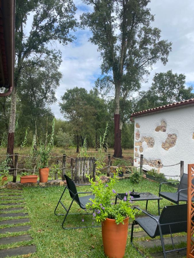 빌라 노바 드 포이아르스 The Old Watermill Retreat - O Retiro Da Azenha Velha 아파트 외부 사진