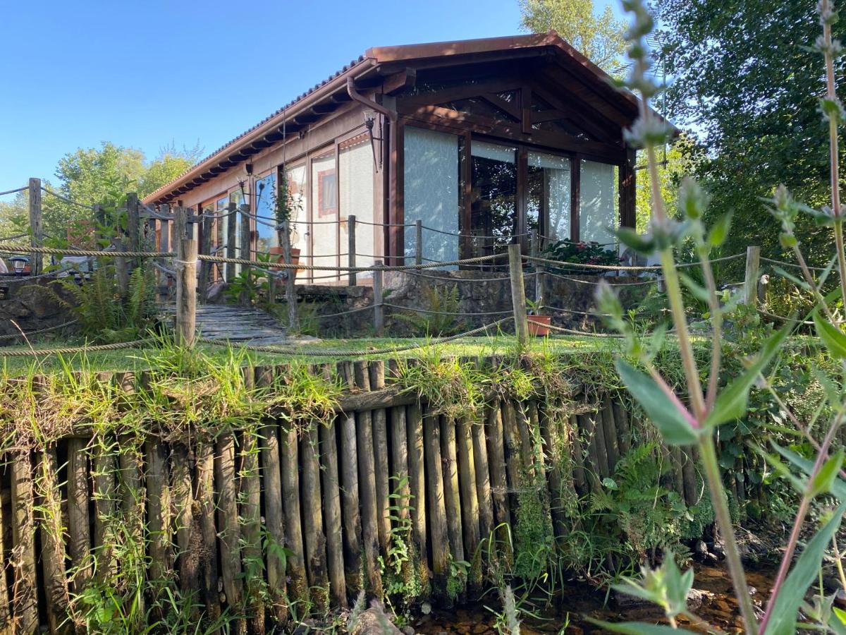 빌라 노바 드 포이아르스 The Old Watermill Retreat - O Retiro Da Azenha Velha 아파트 외부 사진