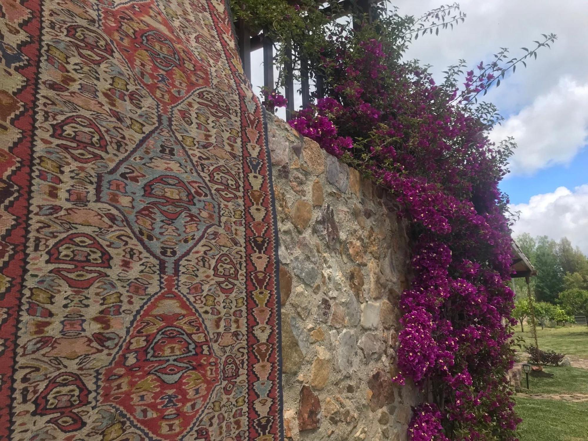 빌라 노바 드 포이아르스 The Old Watermill Retreat - O Retiro Da Azenha Velha 아파트 외부 사진